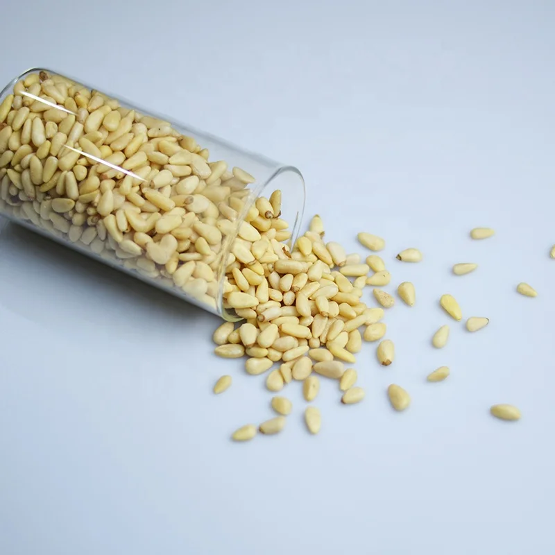 
High Quality Cedar Pinenut Kernels / Raw Pine Nut 