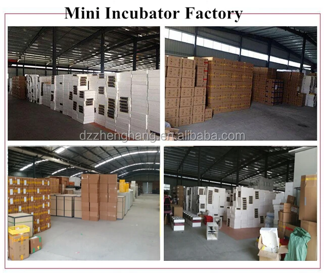 Top selling newly design full automatic mini egg incubator hatching 48 eggs for sale