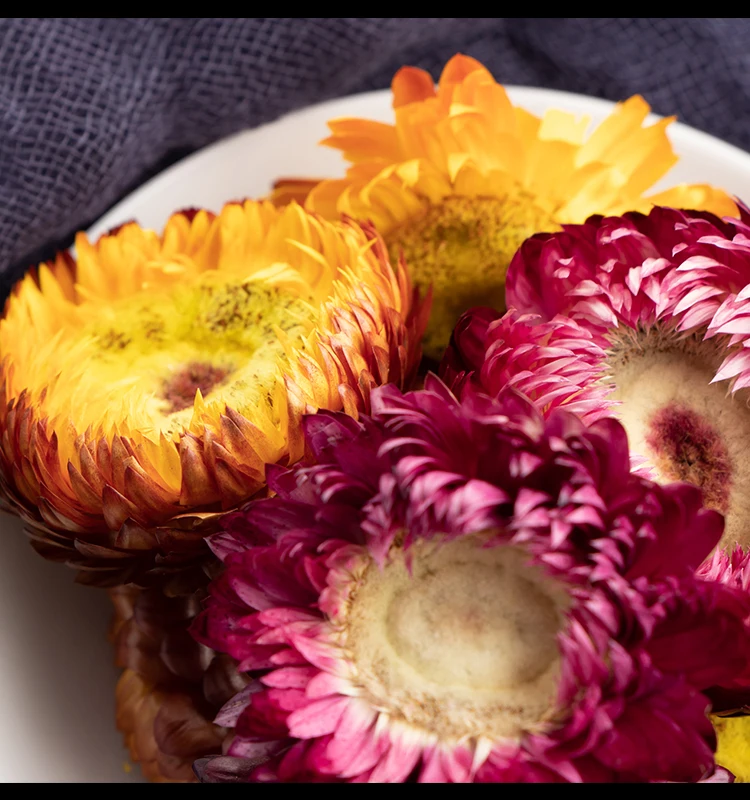 
High Quality Bracteantha Bracteata Strawflower Colorful Chrysanthemum Tea 