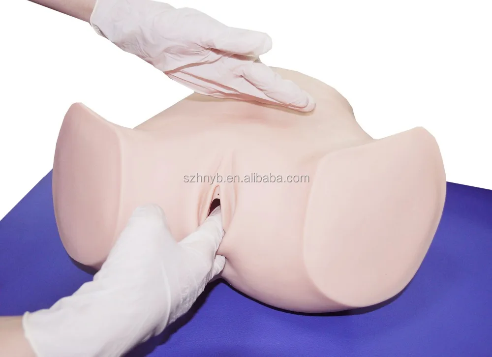Advanced Gynecological Examination Model