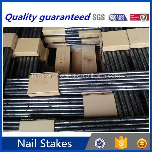 free sample building material long metal flat steel nail stakes