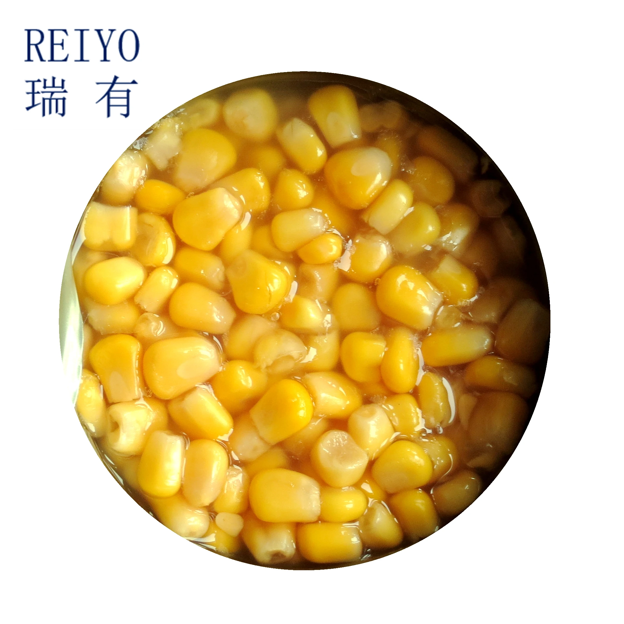 
Canned food all kinds of canned vegetables 