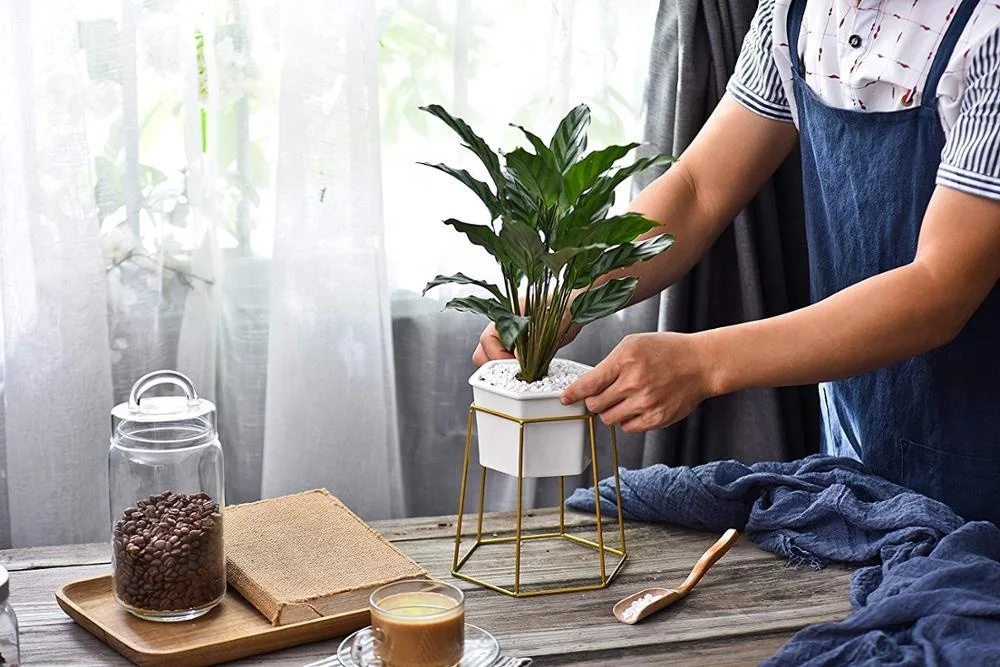 OEM 551-17 Modern Design Gold Hexagon Planter Flower Pot Holder Metal Iron Rack for Succulents Herbs Cactus Plants