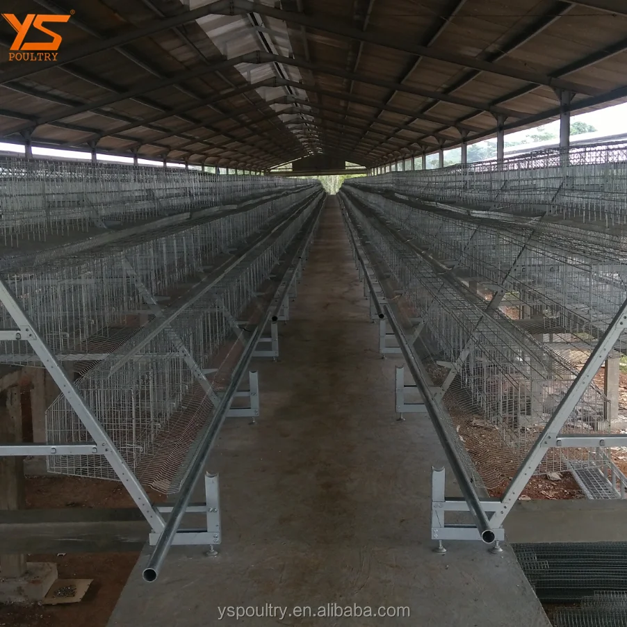 Elevated Chicken House /Two Floors Poultry House Design