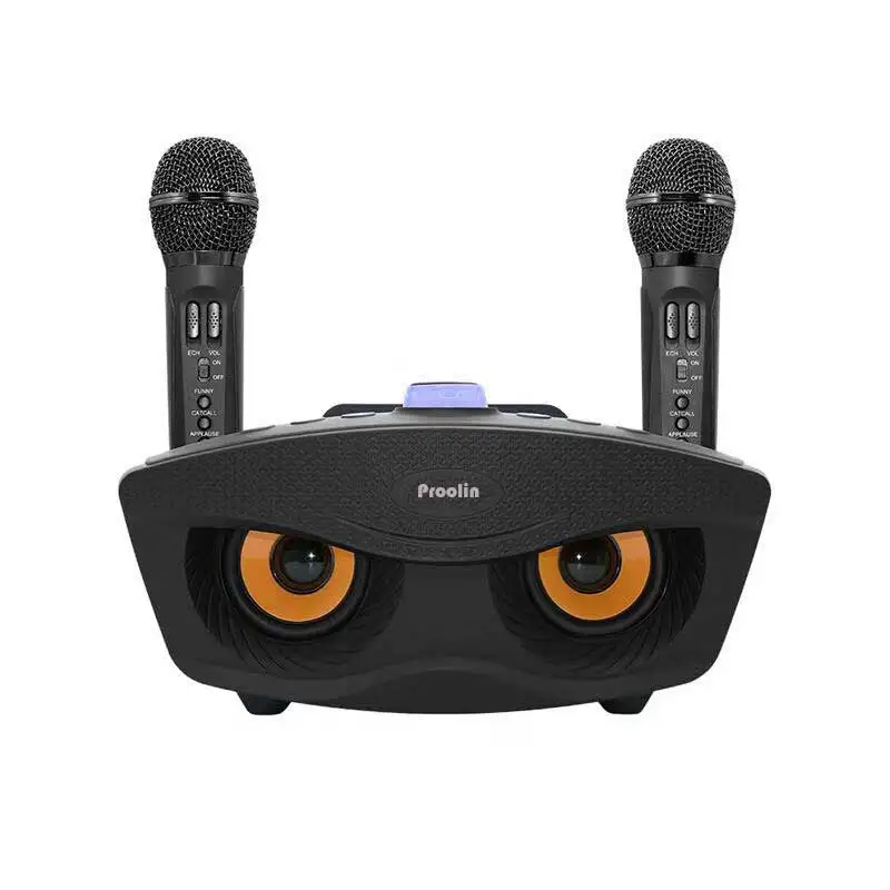 wireless handheld karaoke speaker with double microphone