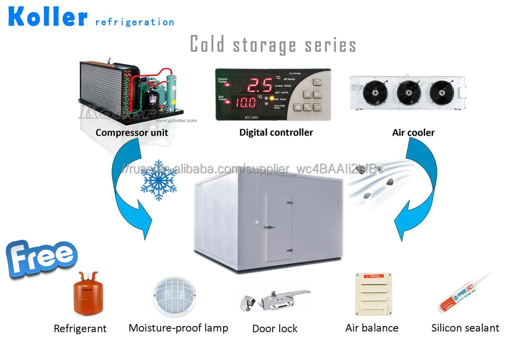 Горячие продажи Холодной комнате ходить в морозильник) для фруктов/рыба/мясо/цветок