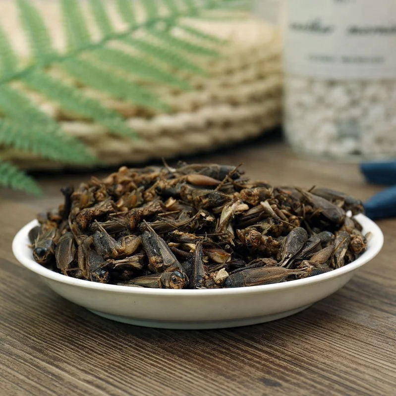 Fresh Dried Cricket High Protein Chicken food Chicken Treats