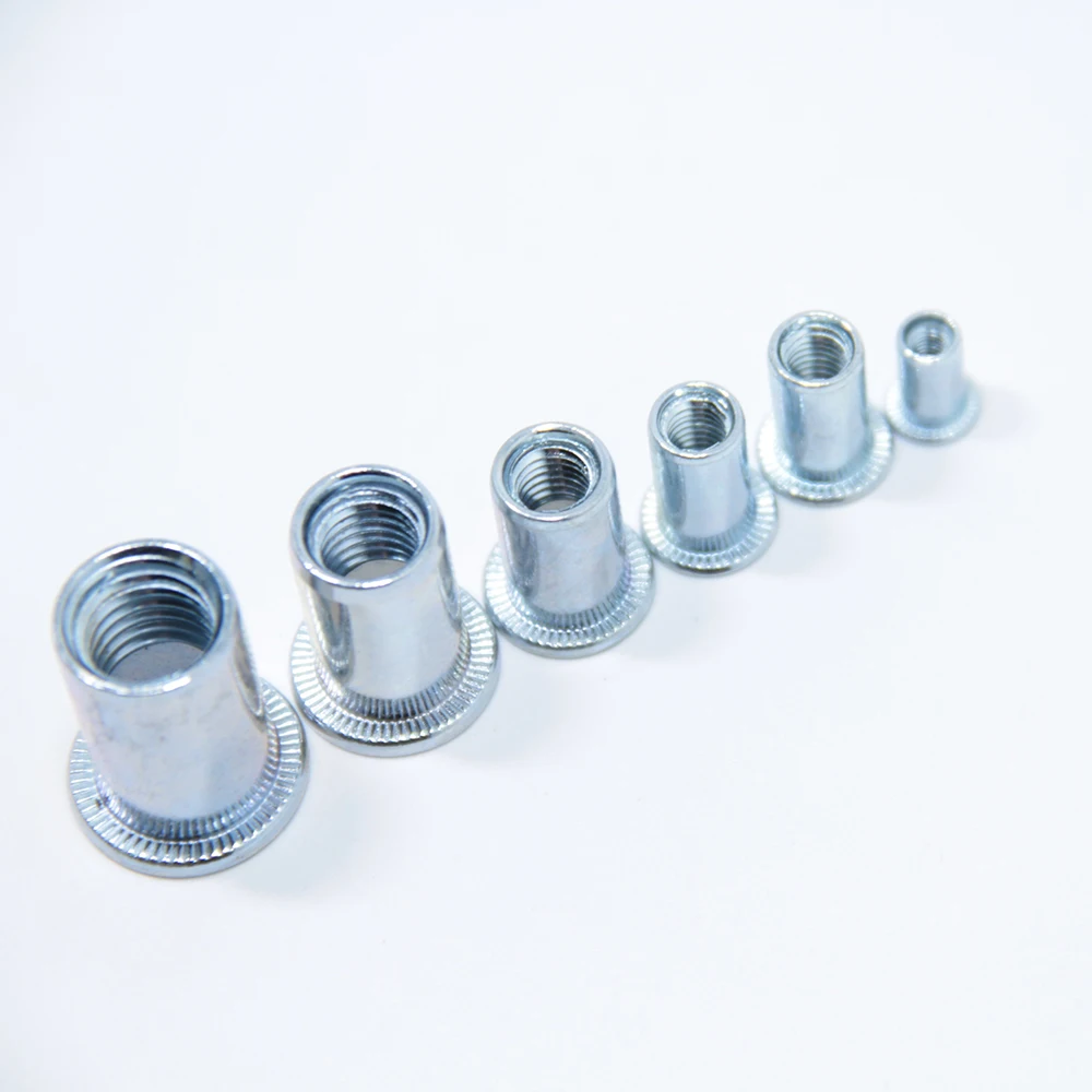 Various Types Round Body M3-M12 Rivet Nut/ Blind Insert Nut