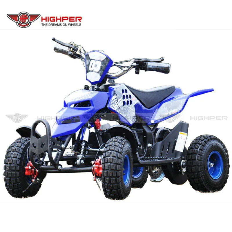 36V 800W Electric Quad with 3 Speed Limit