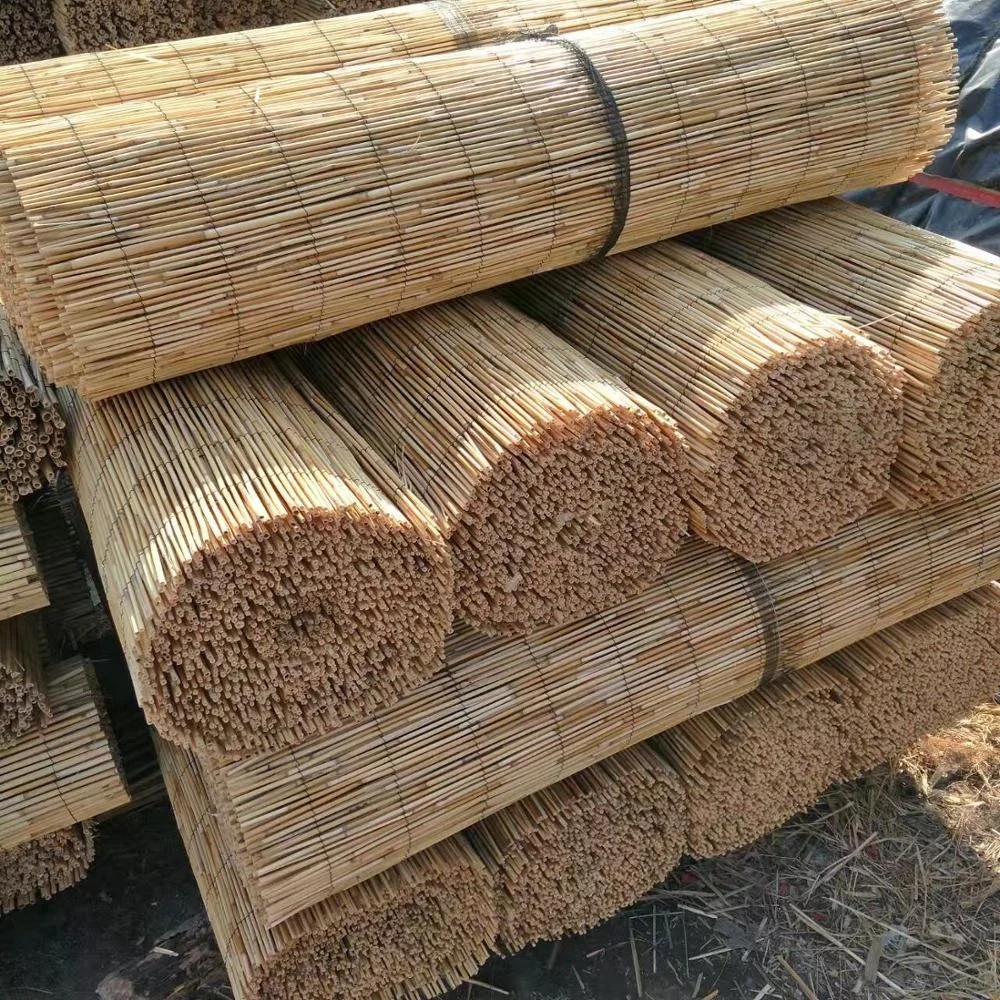 natural reed screen