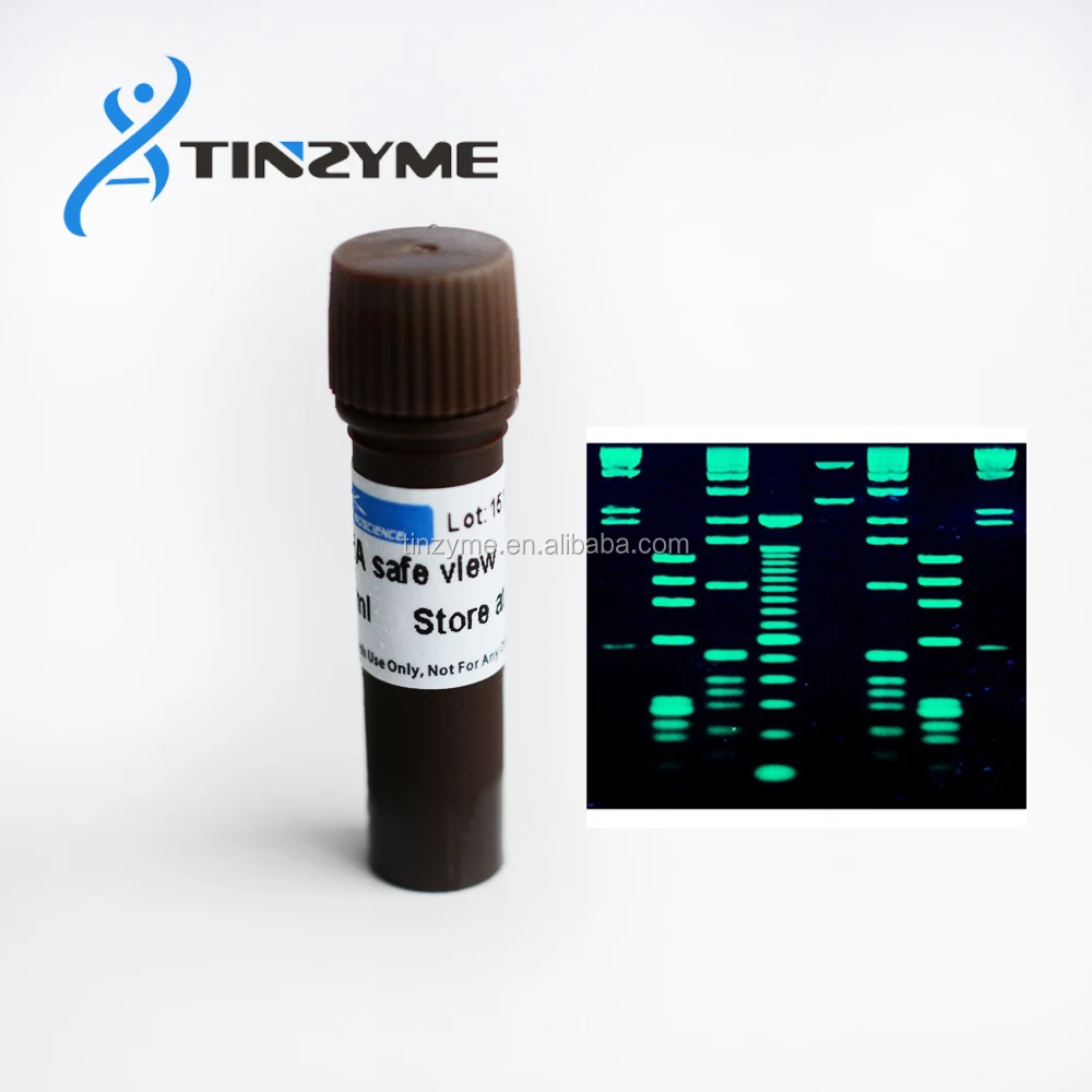 
DNA safe Stain DNA dye 