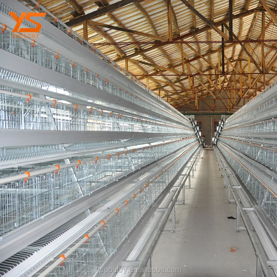 Automatic Bird Breeding Cages Layer Cages