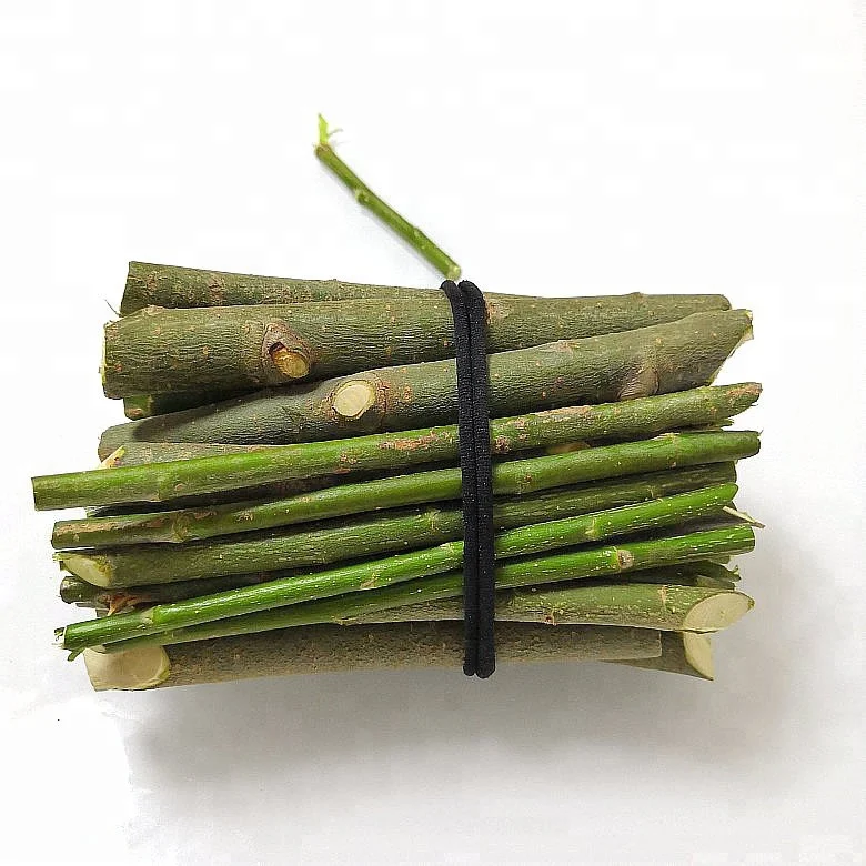 dry and water resistant willow stick plants for timber