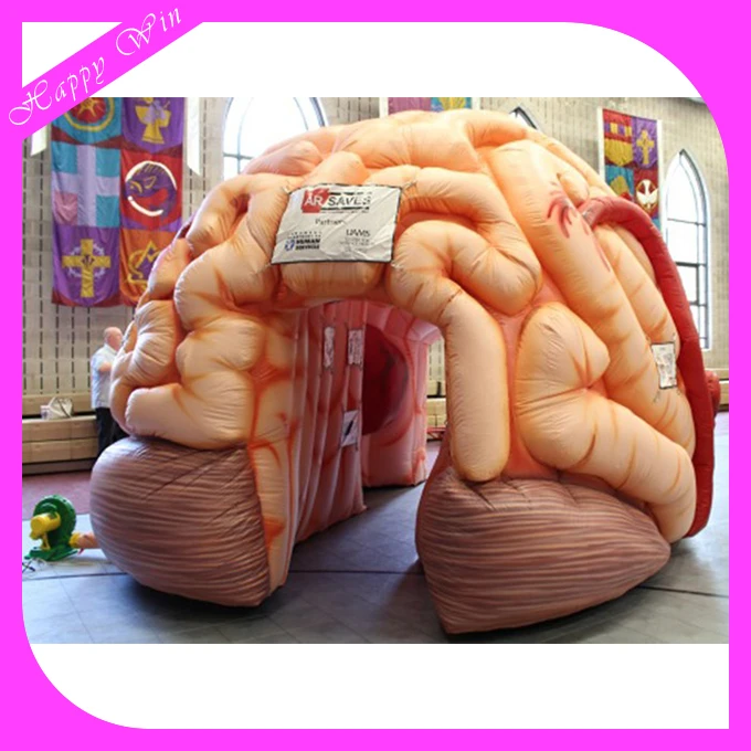 Attractive giant inflatable brain model customized inflatable organ brain model for display