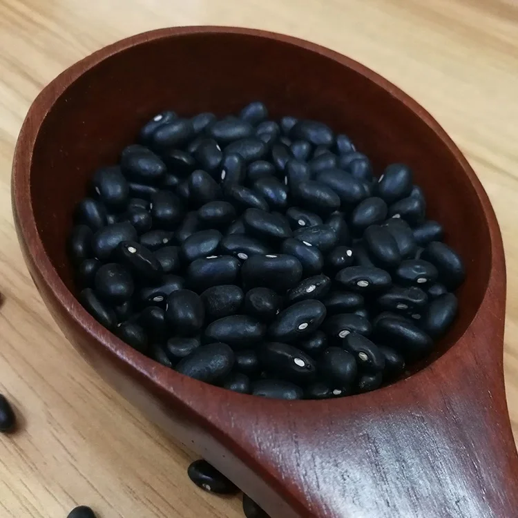 Wholesale commercial Dried Black bean and black kidney price for export
