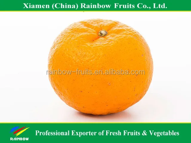 
yongchun ponkan mandarin for Russia & Bangladesh & Indonesia & Malaysia market 