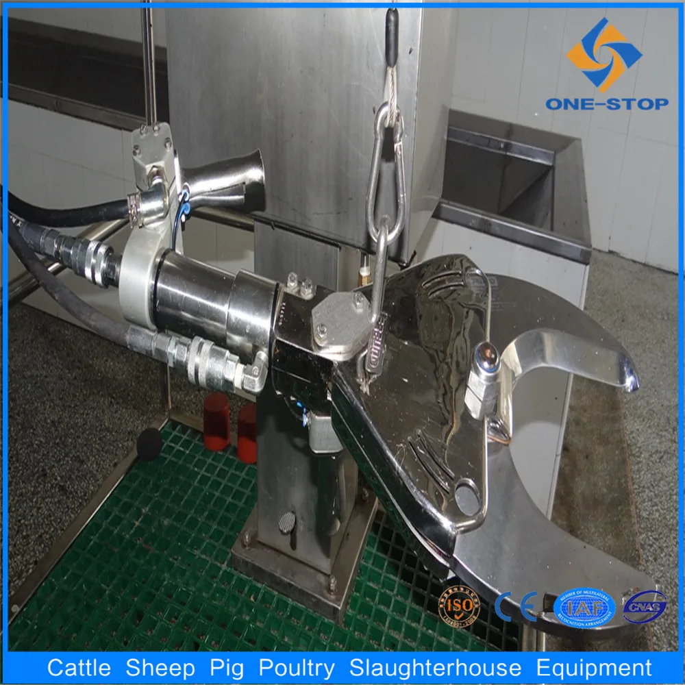 Cattle cow beef abattoir processing Horn And Hooves Removed Scissors