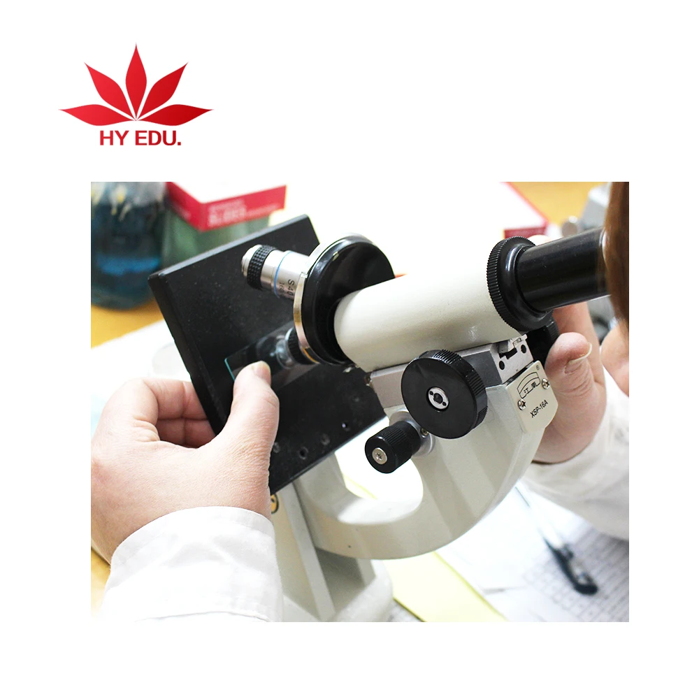 Best-selling Mitosis-cell onion root tip cell l.s microscope prepared slides for university