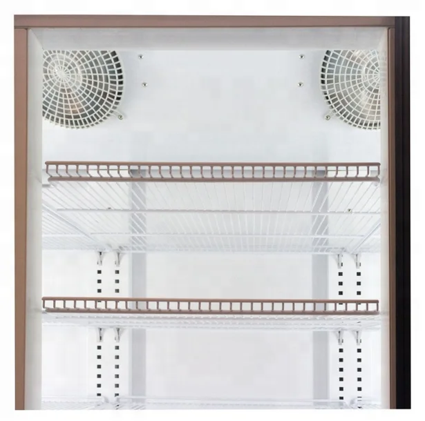 1000 Liters 2 Glass Door  Display Fridge Commercial Refrigerator for Drinks