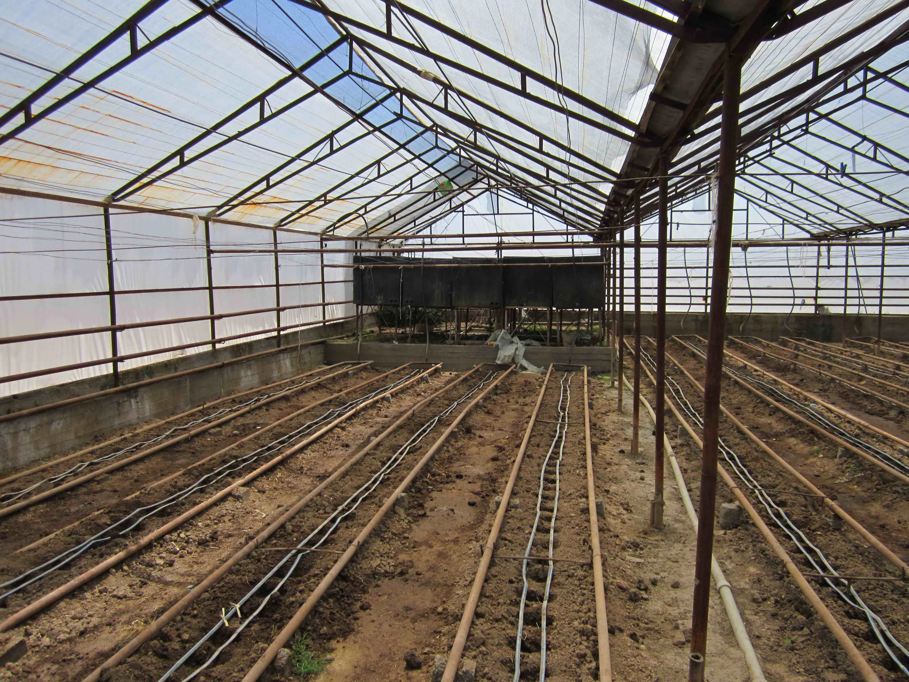 Gothic style Plastic film vegetable polytunnel greenhouse for sale