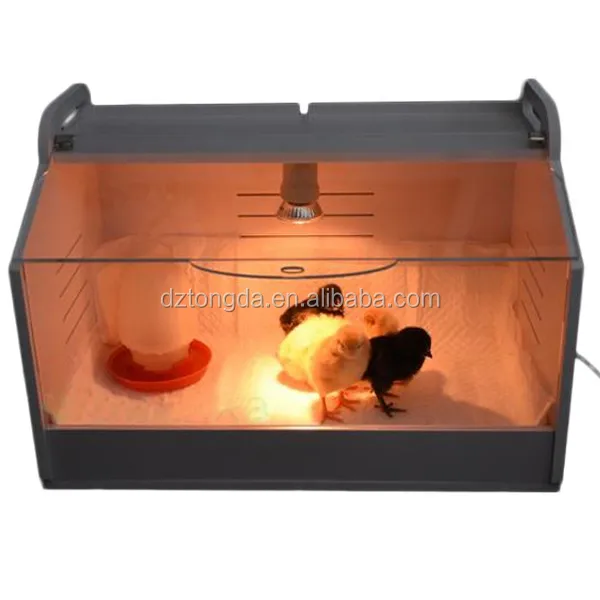 Professional professional chicken brooder box with CE certificate full automatic poultry/bird/quail brooder