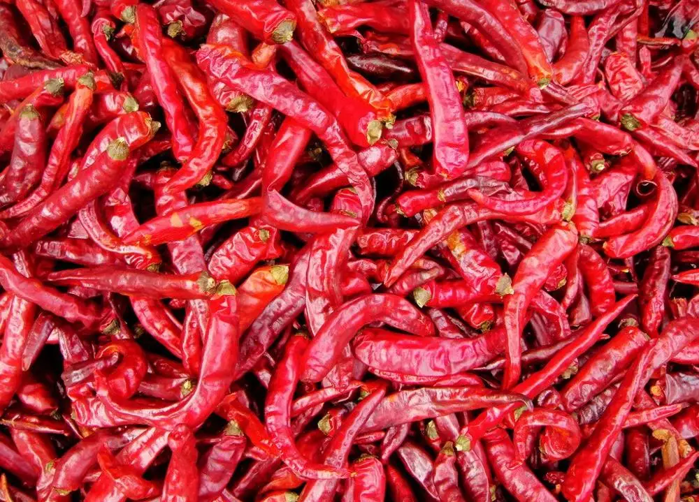 
Low consumption dryer heating fan electrical heater chilli drier 