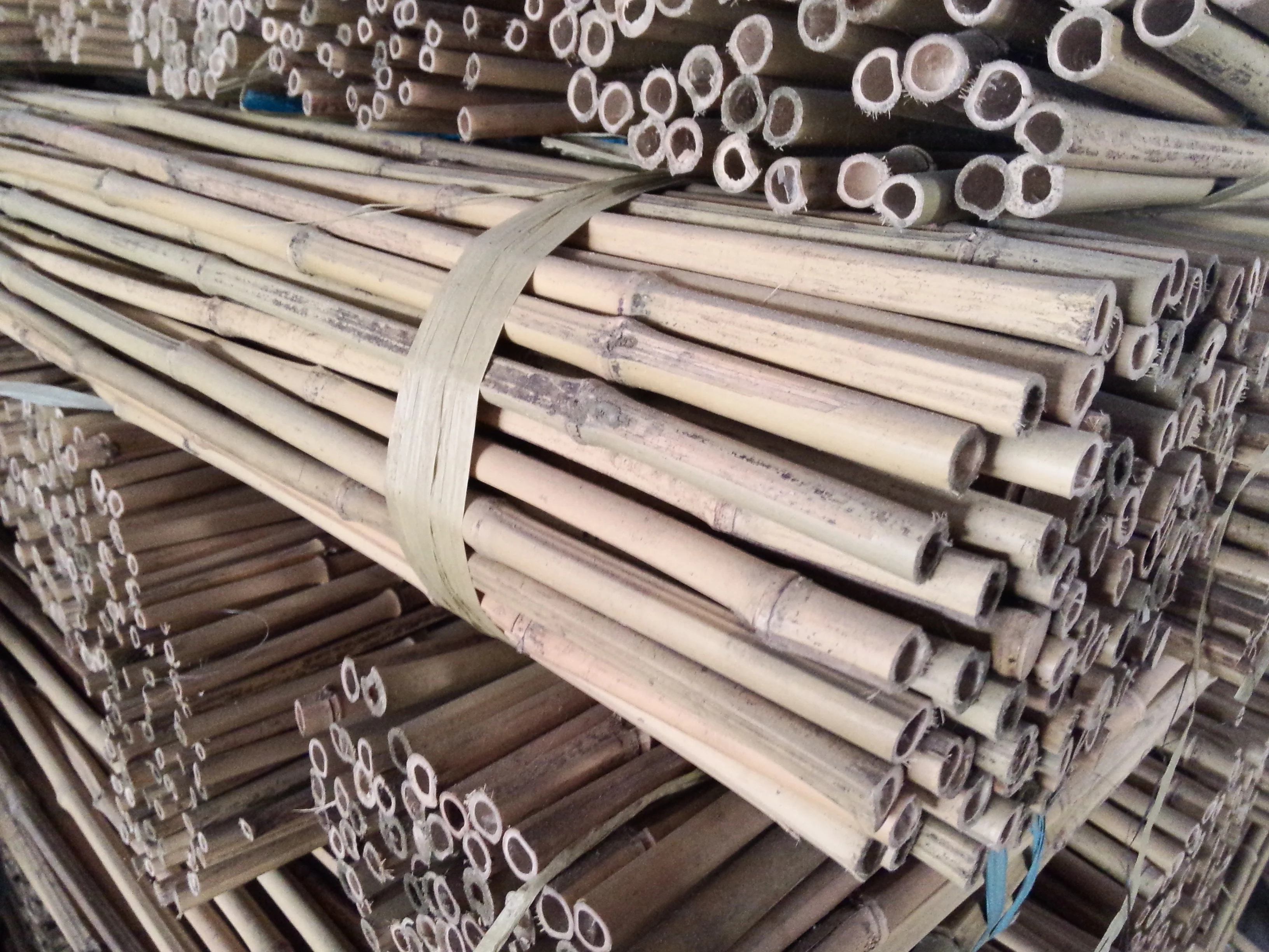 Garden Dried Bamboo Cane Bamboo Stick Bamboo Pole for Planting