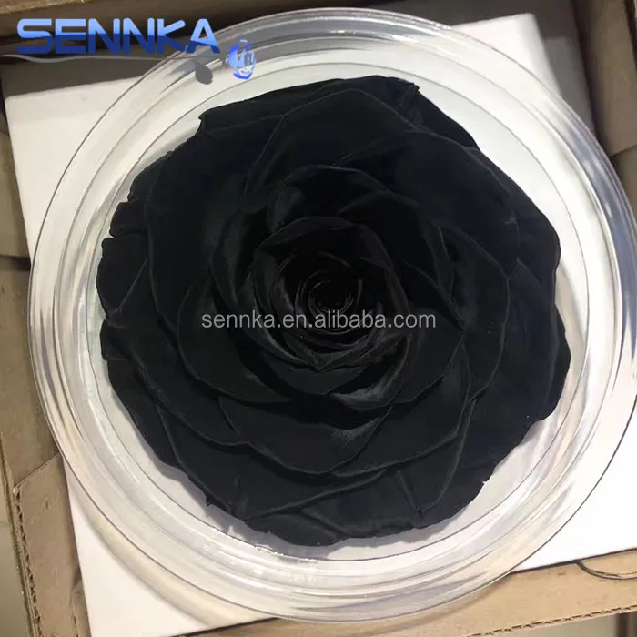 Первичный поставщик, Китай, оптовая продажа, консервированные свежие цветочные розы