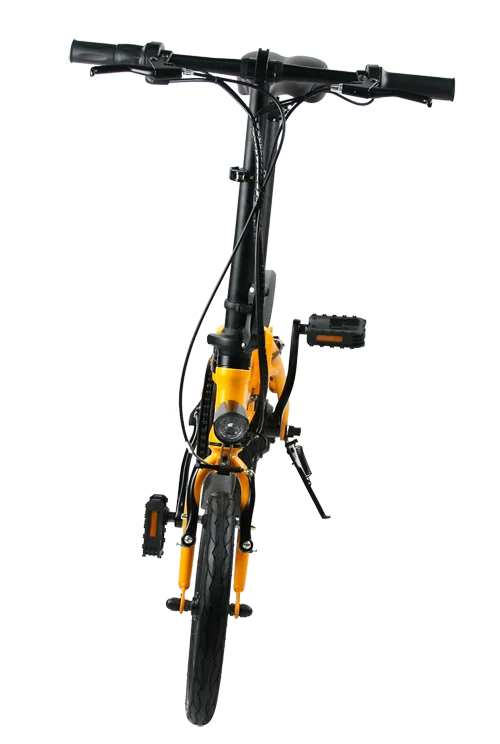 EcoRider Two Wheel Electric Chariot Golf Scooter