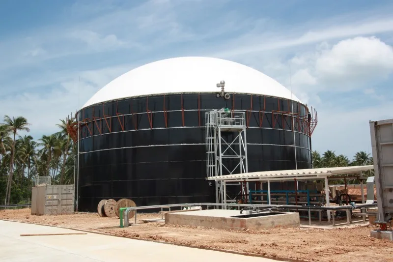 Methane gas torch with Double membrane gas for Biogas equipment