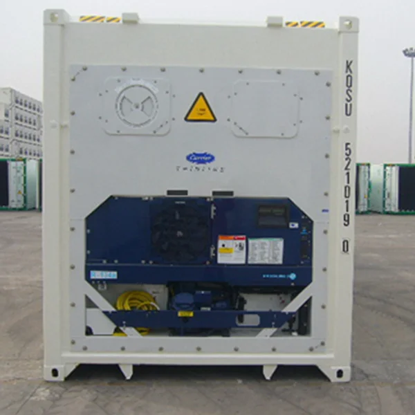 Carrier or Thermoking Used Refrigerated Container