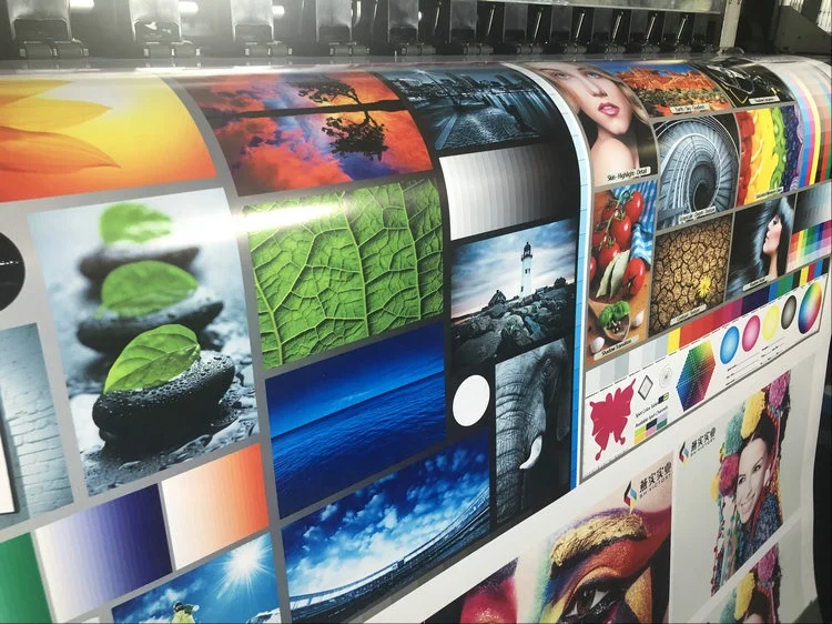 Large Format 10ft / 3.2m dx5 Eco Solvent plotter printer ( with XP600/DX5/DX7/5113/4720 Head optional,oversea agent welcomed )