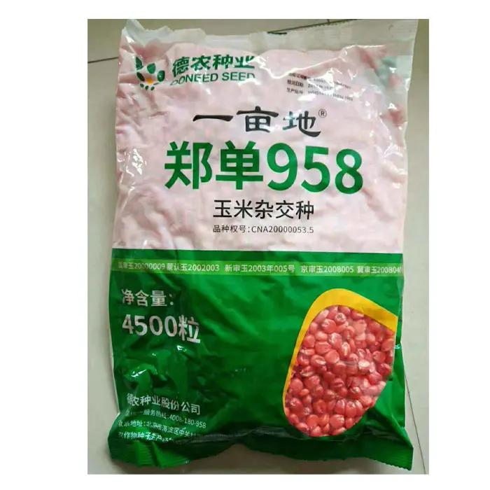 2021 4500 seeds per package hybrid high yield corn seeds for planting 500gram/bags