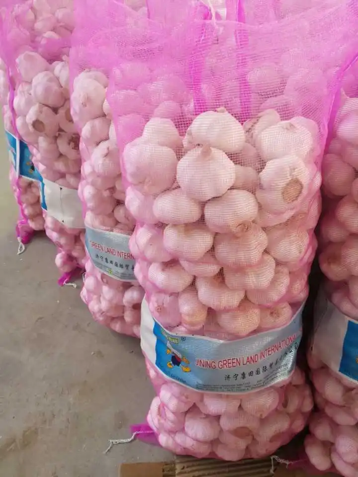 
New season fresh garlic normal white price 