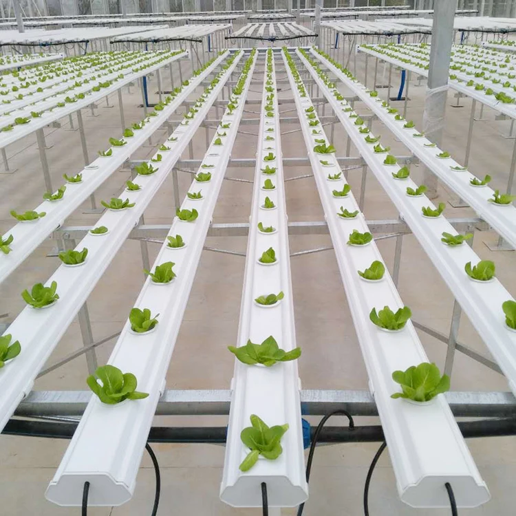 
Теплица Aquaponics, подвижная кровать для продажи 