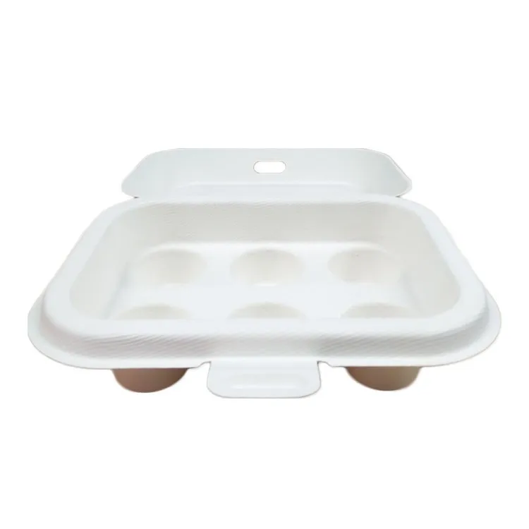 Custom biodegradable sugarcane molded pulp packaging boxes with print