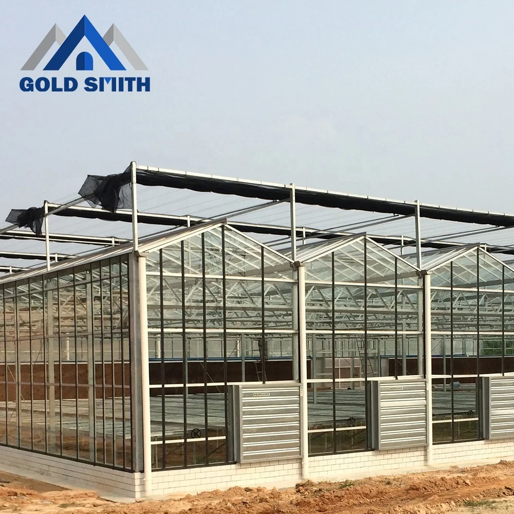 Customized Venlo Type Steel Tube Agriculture Greenhouse with Cooling Equipment