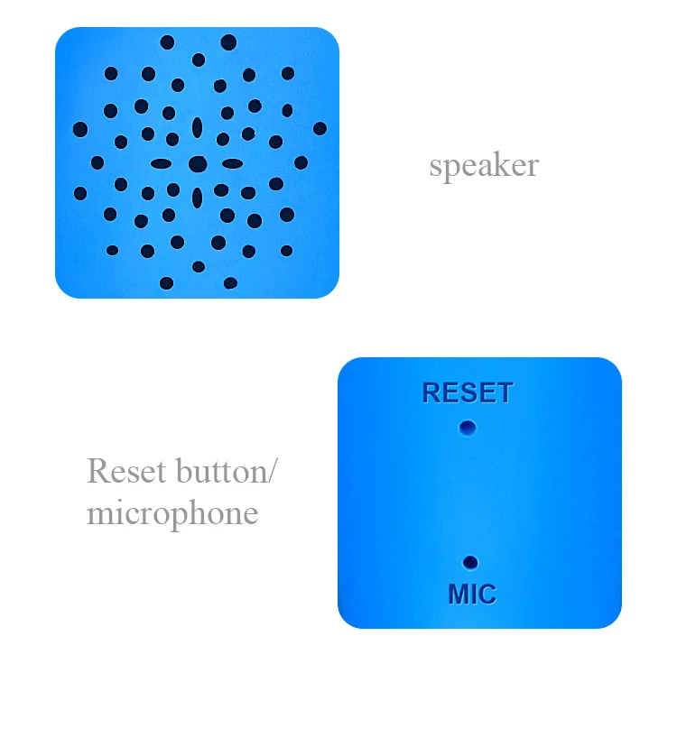 dolphin point Talking Pen
