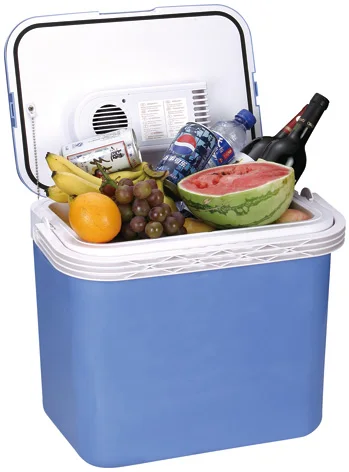 32L camping can electric Cooler Box custom mini fridge