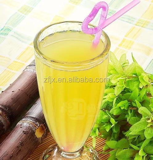 hot selling sugarcane crusher electric fruit juicer