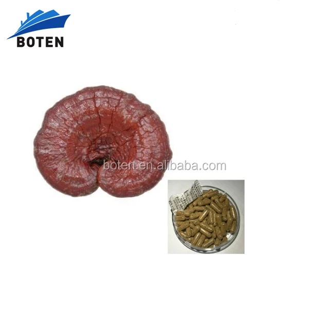 High Quality OEM gano excel ganoderma mycelium excellium capsul