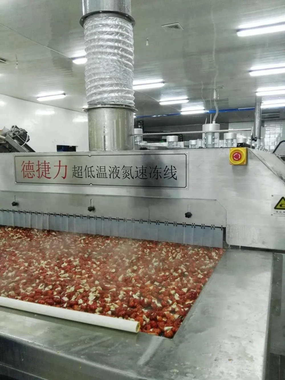 DJL liquid nitrogen tunnel freezer for lobster tail/quick freezing machine for crayfish tail /shrimp tail flash freezer