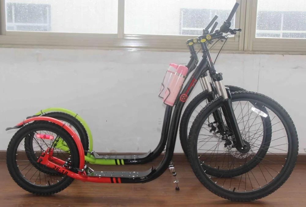 Fashionable Adult Kick Scooter/dog Scooter/ Street Footbike(SY-SC261801)