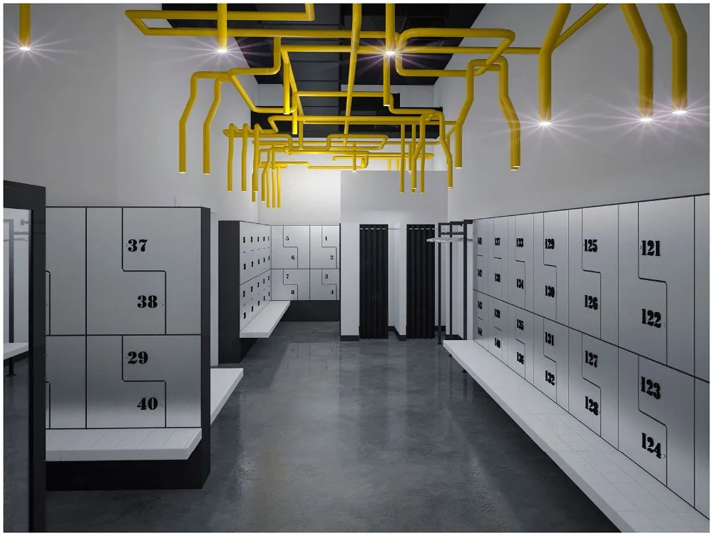 Beach Locker/clothes Lockers/HPL Z Shape Locker