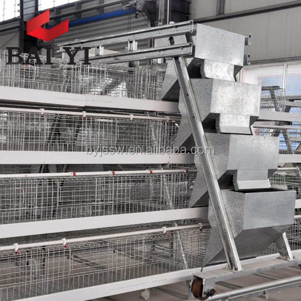  Оборудование для сбора кур