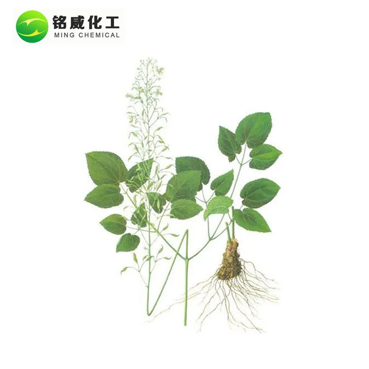 Herbal Horny Goat Weed Extract Icariin 10% to 98% Epimedium Extract Icariins