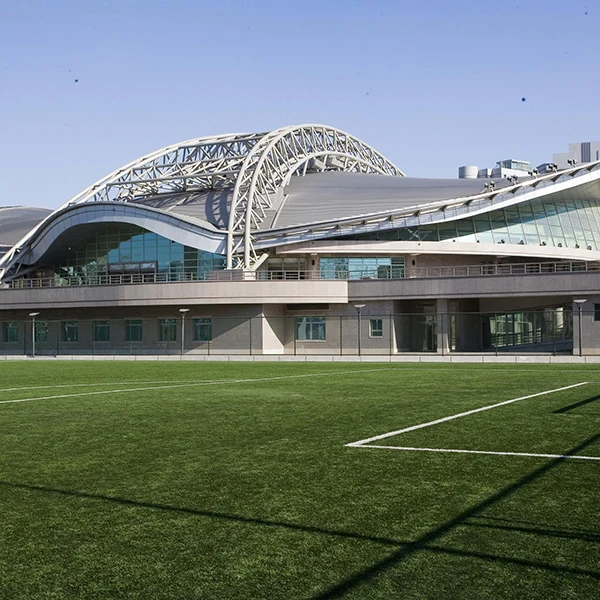 Оптовая продажа с завода, синтетическая трава для футбольных полей