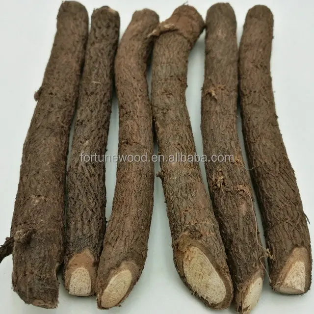 Китай, холодностойкий корень Шаня Тонг павловнии для выращивания