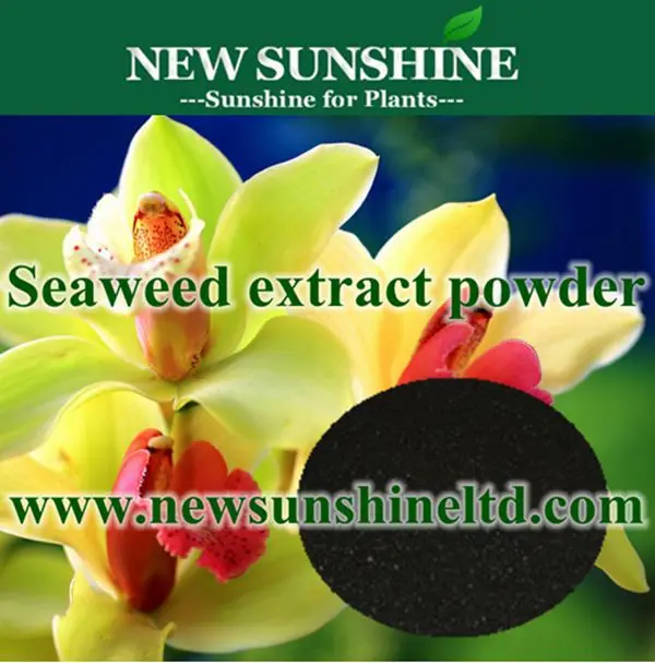 Seaweed Extract Powder Price