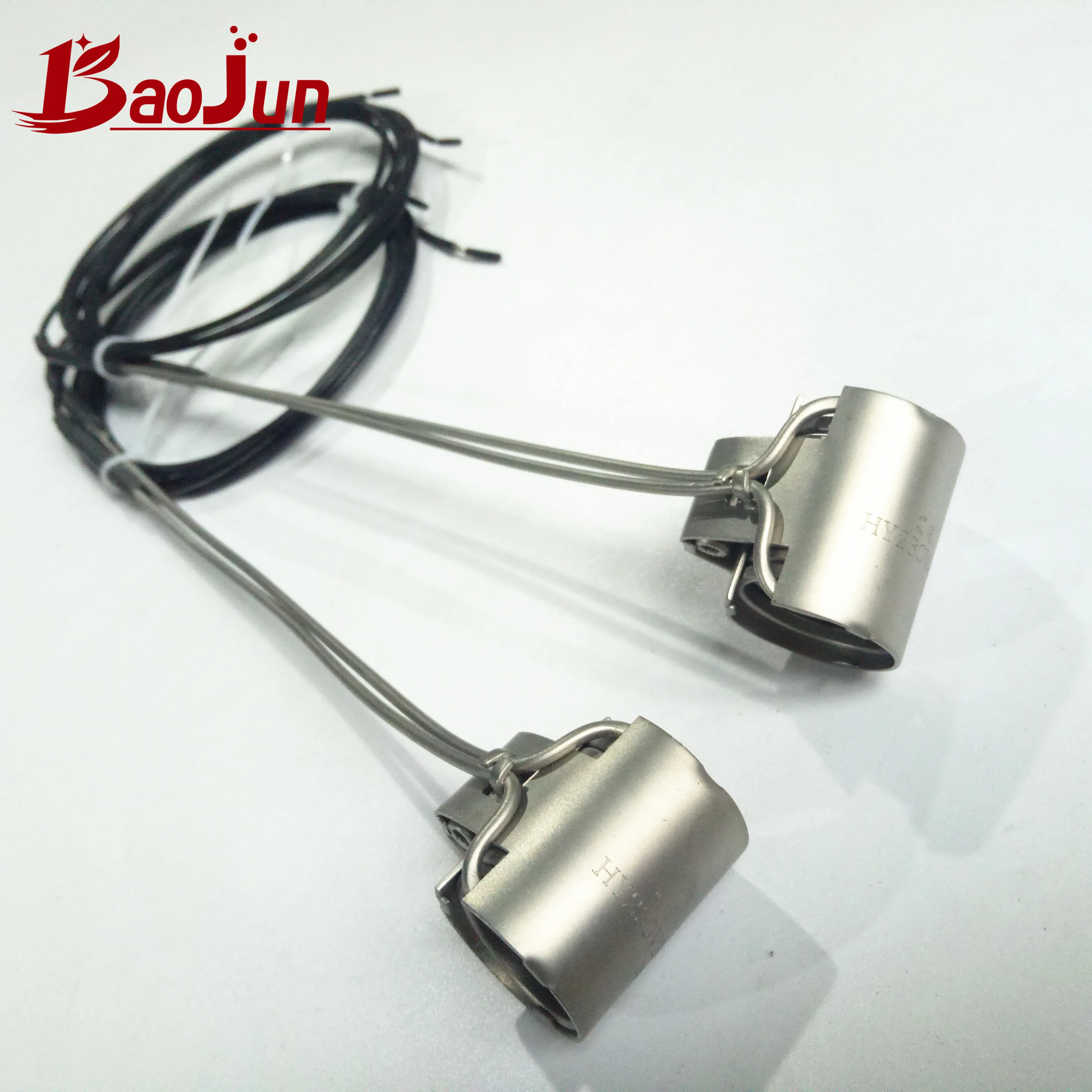 Hot runner system induction coil heaters